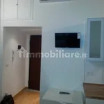 Rent 1 bedroom apartment of 33 m² in Turin