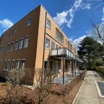 Rent 3 bedroom apartment of 87 m² in Bielefeld