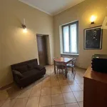 Rent 2 bedroom apartment of 50 m² in Torino