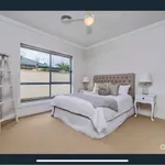 Rent 4 bedroom student apartment of 1 m² in Adelaide