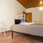 Rent 1 bedroom apartment of 34 m² in Roma