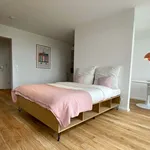 Rent a room of 50 m² in Berlin