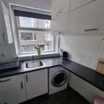 Rent 3 bedroom apartment of 61 m² in Vettenoordse Polder Oost