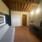 Rent 1 bedroom apartment of 30 m² in Florence