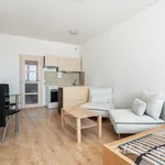 Rent 1 bedroom apartment in Prague