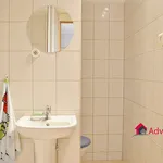 Rent 3 bedroom apartment of 45 m² in Ostrava