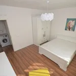 Rent 2 bedroom apartment of 45 m² in Timisoara