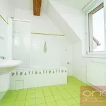 Rent 6 bedroom apartment of 250 m² in Prague