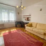 Rent 2 bedroom apartment of 49 m² in Miskolc