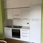 Rent 1 bedroom apartment of 45 m² in Turin