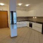 Rent 3 bedroom apartment of 80 m² in Portogruaro