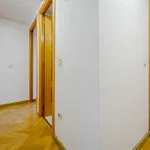 Rent a room of 80 m² in madrid