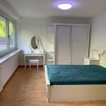 Miete 2 Schlafzimmer wohnung von 4981 m² in Kusel