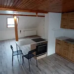 Rent 1 bedroom apartment in Brno venkov