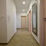 Rent 2 bedroom apartment in Kolín