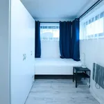 Rent 1 bedroom apartment in Brno