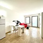 Rent 1 bedroom apartment of 40 m² in Bergamo