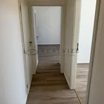 Pronajměte si 2 ložnic/e byt o rozloze 39 m² v České Budějovice