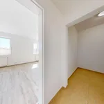 Pronajměte si 1 ložnic/e byt o rozloze 44 m² v Pilsen