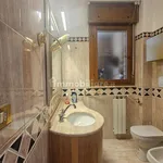 Rent 1 bedroom house of 212 m² in Rome