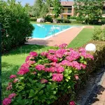 Rent 2 bedroom apartment of 55 m² in Peschiera del Garda