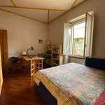 Rent 1 bedroom apartment in Rome