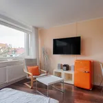 Rent 1 bedroom apartment of 30 m² in Hanover