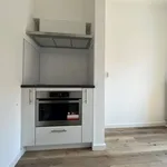 Huur 3 slaapkamer appartement van 113 m² in Den Haag