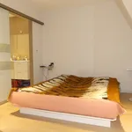 Huur 1 slaapkamer appartement van 95 m² in Bruges