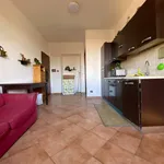 Rent 2 bedroom apartment of 45 m² in Roma