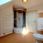 Rent 2 bedroom apartment in Capital City of Prague