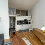 Rent 1 bedroom apartment of 25 m² in Paris