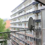 Rent 1 bedroom apartment in brussels