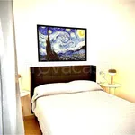 Rent 3 bedroom apartment of 80 m² in Roma