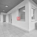 Najam 4 spavaće sobe stan od 122 m² u City of Zagreb