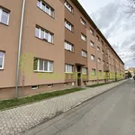 Rent 1 bedroom apartment in Vsetín