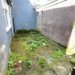 Rent 1 bedroom apartment in Wales