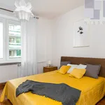 Rent 2 bedroom apartment of 49 m² in Polesie