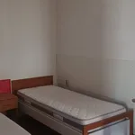 Rent 2 bedroom apartment of 50 m² in Bologna