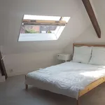 Rent 1 bedroom apartment of 27 m² in Lille