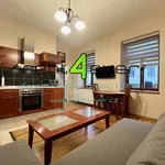 Rent 2 bedroom apartment of 51 m² in Prague