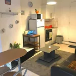  appartement avec 2 chambre(s) en location à Lyon