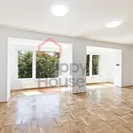 Rent 1 bedroom house of 300 m² in Prague