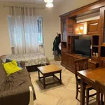 Rent 3 bedroom apartment of 17 m² in Roma