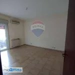 Affitto 5 camera appartamento di 100 m² in Catania