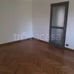 Rent 3 bedroom apartment of 60 m² in Biella