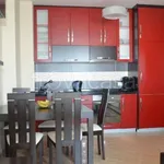 Rent 2 bedroom apartment of 60 m² in Venaria Reale