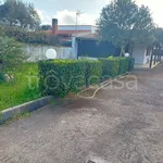 Rent 2 bedroom house of 70 m² in Terracina