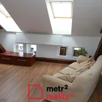 Rent 1 bedroom apartment of 58 m² in Šternberk