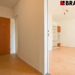 Pronajměte si 4 ložnic/e byt o rozloze 115 m² v Brno